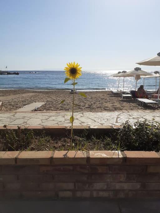 Stoupa Beachside Retro Apartment Екстер'єр фото